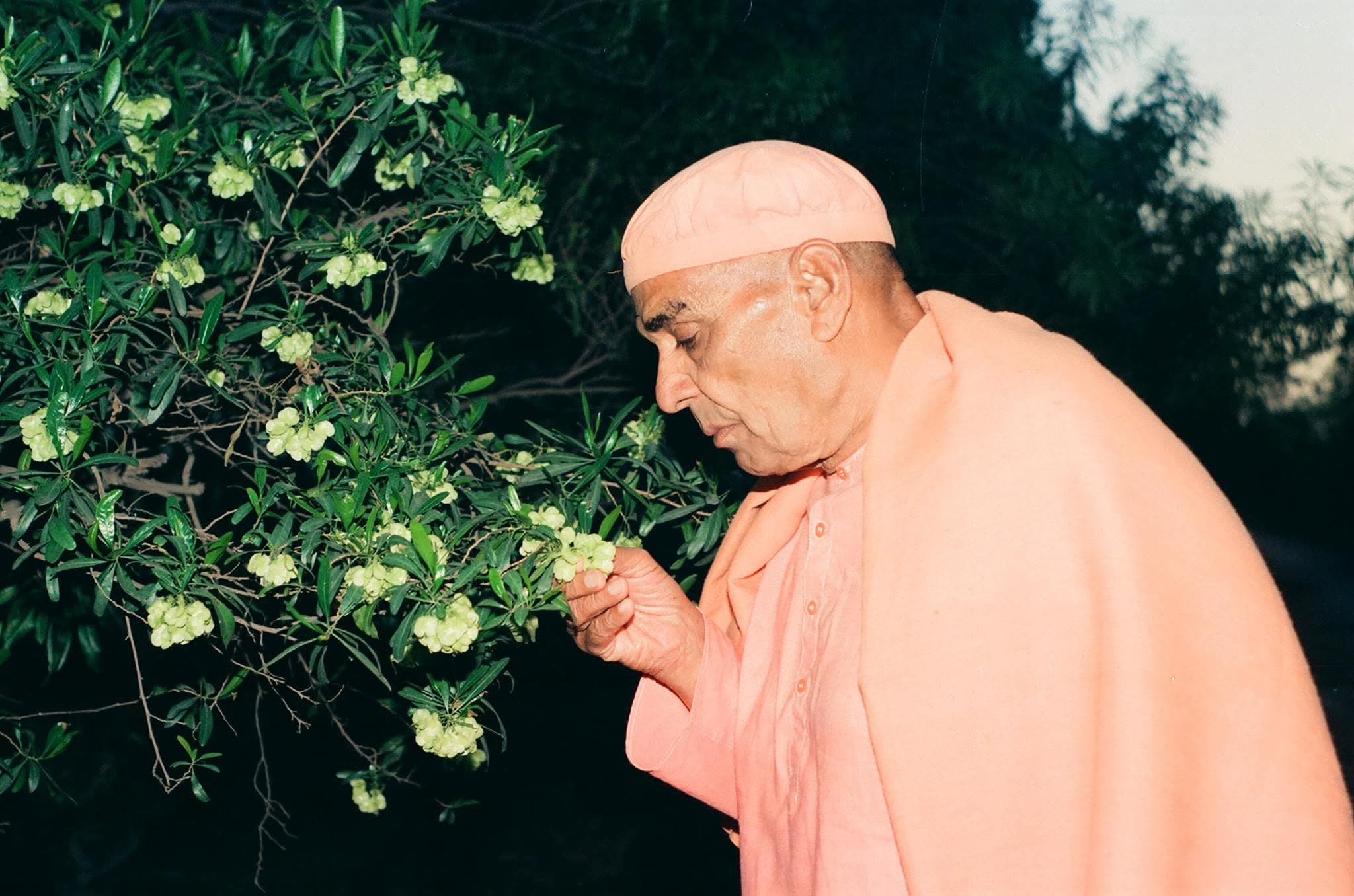 समाज के पथ-प्रदर्शक
